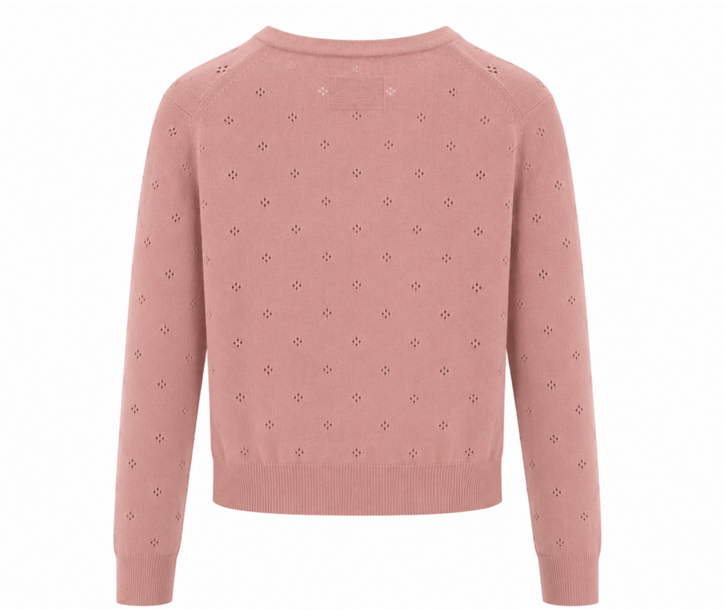 A dusty pink long-sleeve knit sweater with a delicate, repeating eyelet pattern across the body and sleeves, shown from the back on a plain white background.